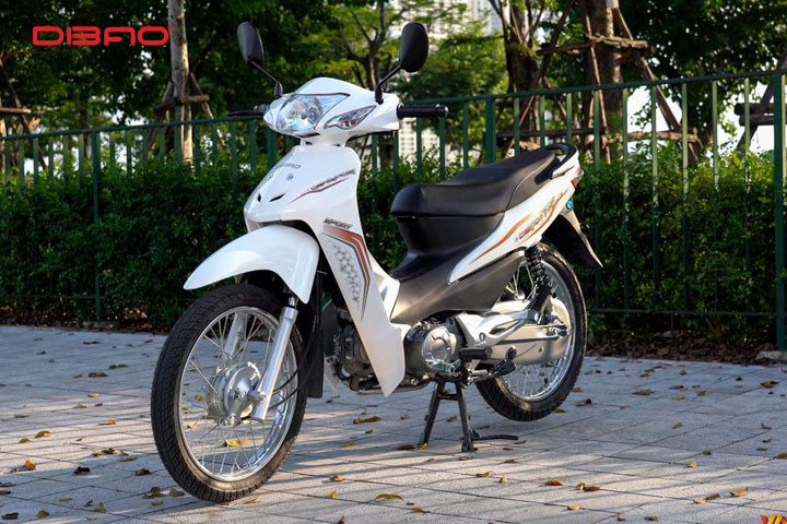 Xe số DIBAO RS